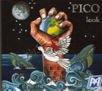 LOOK/pico　/ サーフミュージックCD/サーフィン / cd7000【コンビニ受取対応商品】【ゆうパケット対応】【RCP】