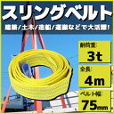 スリングベルト 玉掛け 帯 牽引ベルト 4m 幅75mm 耐荷重3t ベルトスリング 繊維ベルト 吊りベルト クレーンベルト 帯ベルト 吊り上げ ナイロンスリング 建設機械 船舶 運搬作業 ポリエステル素材 土木 農林業 造船 牽引 板金塗装 吊る レッカー フレーム修正