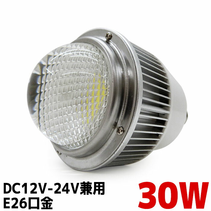 【数量限定】LED電球 e26 口金 30w 2700lm 防水 船舶 漁船 室内電球 E26ソケット 電球色 6000k 3000k 【DC12v-24v兼用】冷却ファン内蔵 フィラメント電球 デッキライト 照明