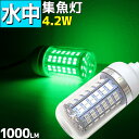 LEDW 4.2w 12v ^ W led WCg VXEiM 1000lm S4F    dF Cg ނ CJނ 镰 D h ƒނ D ނ d|  AW CV C~l[V AEghA