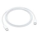 (中古)Apple純正 Iphone USB-C充電ケーブル(1m)タイプC iPad本体付属品/pro/ipad/バルク品(2)