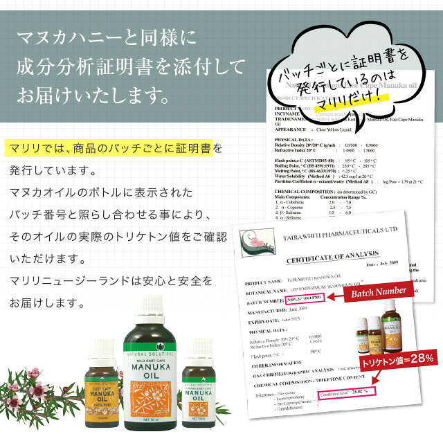 �ޥ̥� ������ 3�糧�å� �ԥ奢(ǻ��100%) ���ȥ���(ǻ��22%) �ޥ����(ǻ��3.25%) �˥塼�������� �������ȥ����׻� ����������̵���۽�����