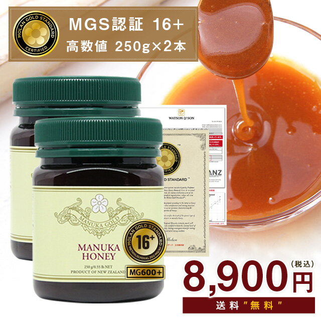 マヌカハニー 16+ がセット限定価格！MGS認証 MG600+ 250g×2本 【分析書/認定書付き】 生 はちみつ 非加熱 無添加 マ…