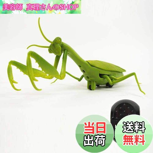 【送料無料】カマキリ ラジコン Mantis Radio Controlled