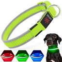 【送料無料】PZRLit 光る首輪 犬 散歩 夜 ライト LED 超明るい USB充電式, サイズ調整可能 ペット 犬 光る首輪 安全反射光 夜 ペット首輪 軽量 小型犬 中型犬 大型犬, 緑, S