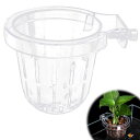 【送料無料】PAVIKE水生植物ホルダー【10.5*9*7cm】水槽植物カップ 水族館植物ホルダー 水槽水槽アクセサリー、透明壁掛け、水草栽培や水辺の装飾に適し