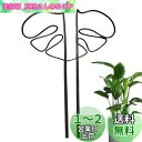GLOWZEN モンステラ 支柱 園芸支柱 観葉植物 植物サポート 花支架 ガーデニング支柱 モンステラフラワースタンド 農業用 園芸用 成長段階 植物倒れ防止 手で調整可能 1個入り(黒)