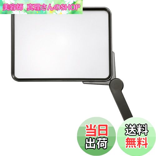 【送料無料】Kenko ルーペ ジャンボルーペ 1.8倍 193mm KTL-101