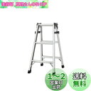 長谷川工業(Hasegawa) アルミ軽量はしご兼用脚立 天板トレー付 (81cm) RC2.0-09 (16320)