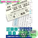 オーム(OHM) オーム電機 100ミクロンラミネーターフィルム20枚 診察券 LAM-FS203