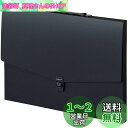 セキセイ(Sekisei) ドキュメントファイル アルタートケース フラット A3 ブラック ART-702