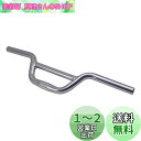 SENQI 自転車ライズクルーザーハンドルバー25.4mmシルバー
