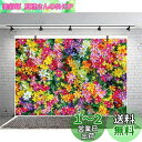 Qinunipoto 背景布 背景紙 写真背景布 写真 撮影用 布 撮影背景 花の背景 色とりどりの花 ロマンチックな背景 結婚式 結婚用 礼儀作法の装飾 背景シート 小道具 スクリーン 背景ポスター ビニール 1.5m x 1m