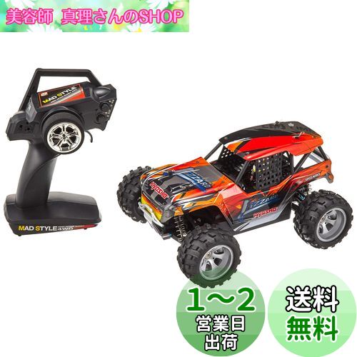RC1/16 ޥåɥ륷꡼ ꥶ