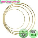 NUOLUX ドリーム ャーリング 15cm 20cm 25cm 30cm 捕夢網フープ メタルリング 4個 DIYクラフト 金属リング 壁掛け飾り 車飾り 風...