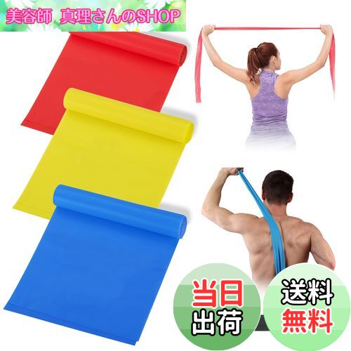 【送料無料】roseddy トレーニングチューブ チューブトレーニング エクササイズバンド レジスタンスバ..