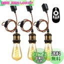 ANWIO ペンダントライト 3個セット 配線ダクトレール用 4.5W(20W形相当) E26口金 リモコン付き ダクトレールライト 北欧 シーリングライト レ...