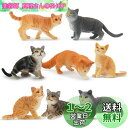 TOYMANY 猫フィギュア 動物フィギュア かわいい猫 8匹入 リアルな動物模型 猫モデル 人気動物 玩具 誕生日プレゼント クリスマス 新年 飾り物 コレクション 6歳以上