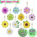 GOODCHI 雛菊 ダイヤモンドアート キーホルダー 両面全貼り付け ビーズアート 12点セット 塗装キット 可愛い キラキラ 人気 手作りDIY クラフト用...