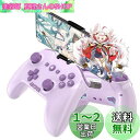 ワイヤレス コントローラー Switch/PC/IOS/Android全対応【方向ボタンレイアウト可能/背面ボタン/スマホホルダー付き】プロコン ゲームパッド 自動連射 Bluetooth/2.4GHz/有線接続 6軸ジャイロセンサー マクロ機能 MFI認証 HD振動 高耐久ボタン 日本語説明書付き (Purpl