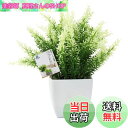 【送料無料】TOSSOW 人工観葉植物 造花 フェイクグリーン フェイク観葉植物 四方鉢 インテリア プレゼント 浅緑葉