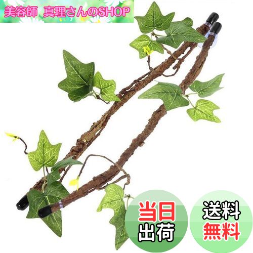 ̵CHENLONB л Фƣ 2ĥå  ͹ƣ դ ΤĤ ξ ٷ  Ȣ  ²  ...