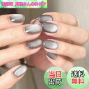 【送料無料】FINGOOO ネイルチップ マグネットタイプ 24枚入り 両面テープ付き 付け爪 つけ爪 ラウンドチップ ジェルネイル キラキラ シンプル 可愛い...