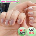 【送料無料】FINGOOO ネイルチップ マグネットタイプ 24枚入り 両面テープ付き 付け爪 つけ爪 ラウンドチップ ジェルネイル キラキラ シンプル 可愛い...