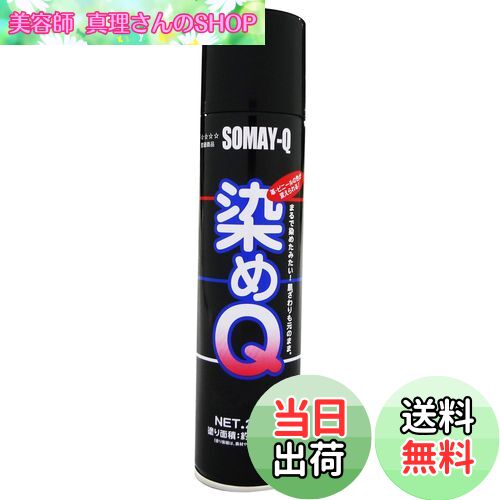 【送料無料】染めQテクノロジィ(Somay-Q Technology) 染めQエアゾール ブラック 264ML 油彩