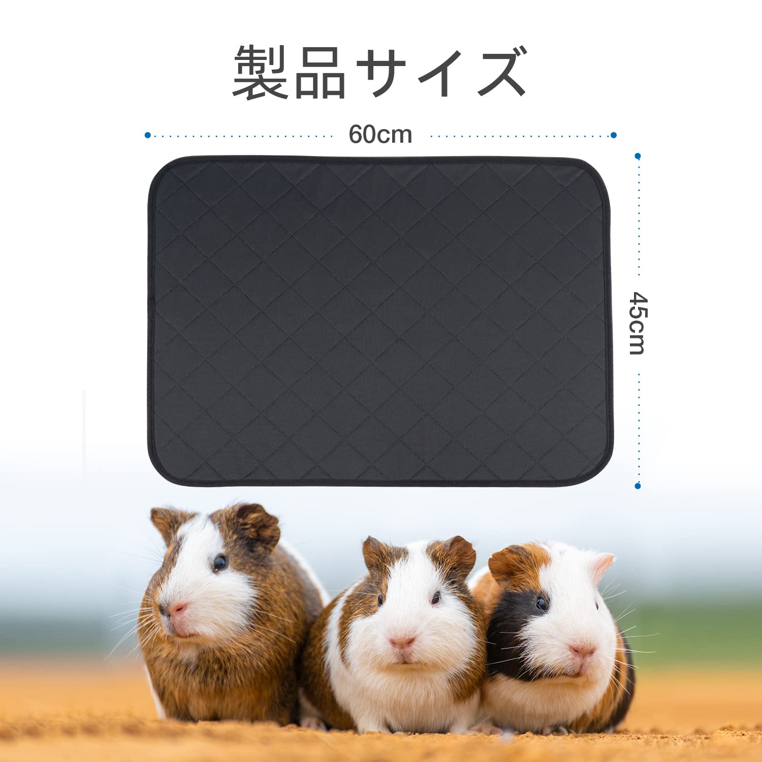 サンプル画像2