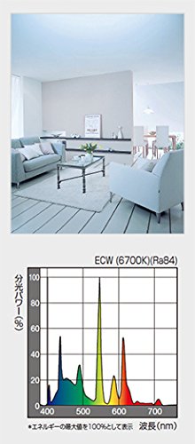 【送料無料】パナソニック 丸形スリム蛍光灯(FHC) スリムパルック プレミア 色：クール色 marisannnoshop-10220180 美容師真理さんのSHOP サンプル画像2