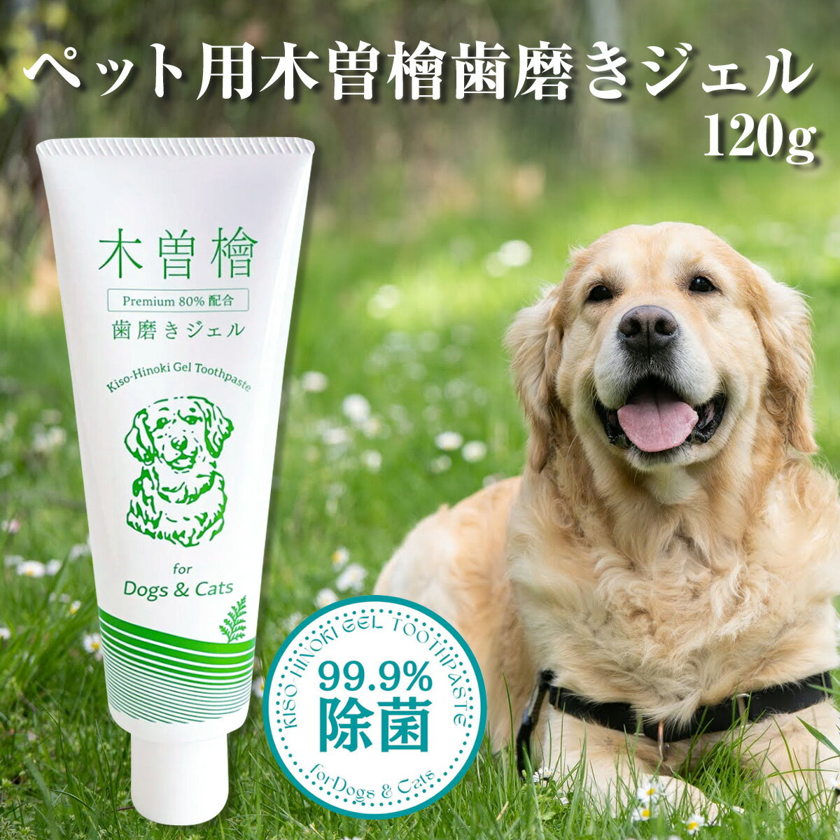 ペット用 木曽檜歯磨きジェル 120g 無添加 100% 天然由来成分 ペット用歯磨きジェル プラスケア 木曽檜 犬 猫 はみがき 除菌 抗菌 歯周病 口臭 研磨剤 発泡剤 防腐料合成香料 人工着色料不要 …