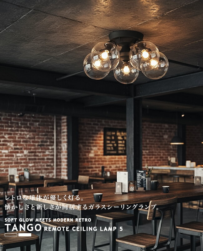 TANGO-REMOTE CEILING LA...の紹介画像2