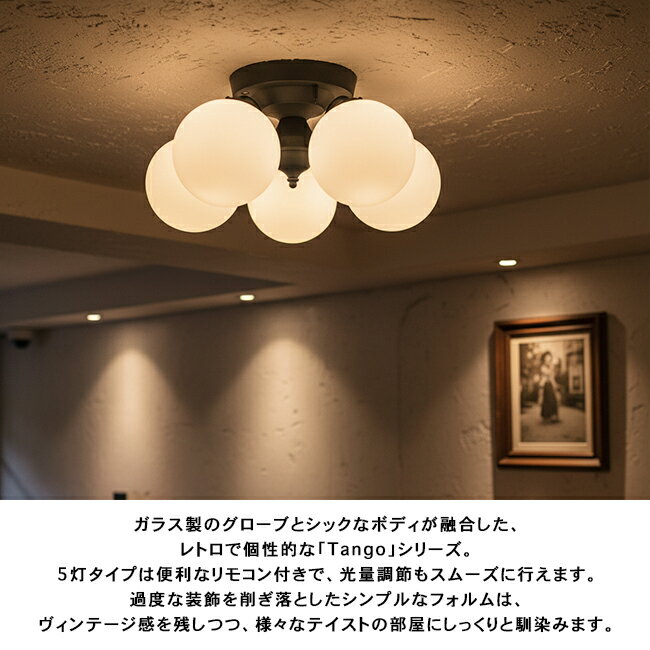 TANGO-REMOTE CEILING LA...の紹介画像3