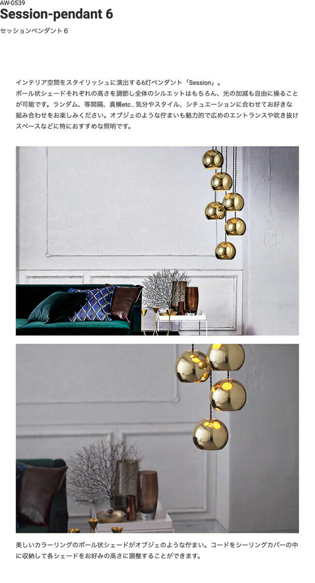 Session pendant 6 セッションペンダント6 ARTWORKSTUDIO アートワークスタジオ AW-0539Z 6灯 ペンダントライト ダイニング リビング 寝室 6畳 8畳 10畳 スチール シェード 球体 ブラック ホワイト ゴールド クローム ピンクゴールド グレー おしゃれ ライト 照明(CP4(PX10 [3]