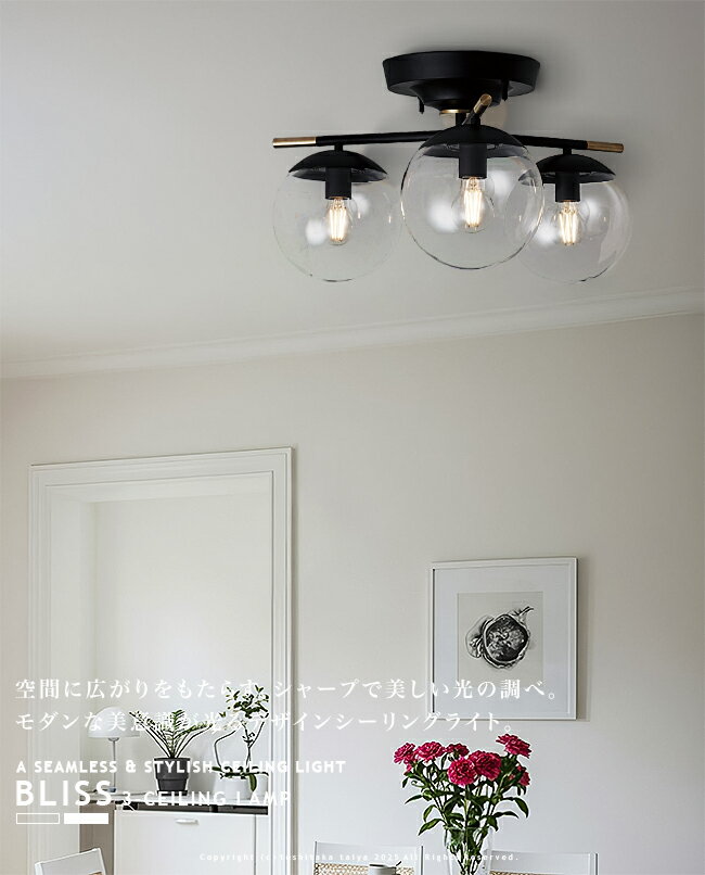 BLISS 3-CEILING LAMP ブリス3シーリングランプ AW-0590 3灯 ARTWORKSTUDIO アート...