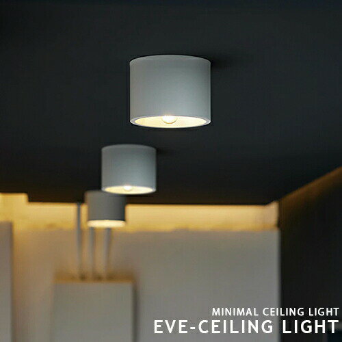 Eve ceiling light イブシーリングライト ダウンライト ARTWORKSTUDIO AW-0635 1灯 LED対応 おしゃれ 照明 ダウンランプ スポットライト スチール 真鍮 引掛シーリング 簡単取付 廊下 玄関 洗面 ブラック ブラス グレー ホワイト 間接照明 リノベーション(CP4 (PX10