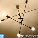 LED CARDINAL LED カーディナル DI CLASSE ディクラッセ ペンダントライト シーリングライト LED付属 ヨーロピアン シンプル モダン 北欧 おしゃれ スチール 真鍮 6灯 天井照明 リビング用 ダイニング用 オフィス用 インテリア照明 照明 簡単取付(CP4 (PX10