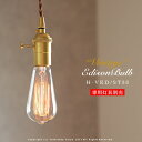 ビンテージエジソン球 VINTAGE EDISON BULB Signature ST58 E26/60W カーボン電球 レトロ アンティーク フィラメント 電球 お洒落 照明 (s) 可愛い 玄関 階段 廊下 トイレ 店舗デザイン エジソンバルブ シグネチャー カーボン 口金 ツイストブラウンコード別売(2-2