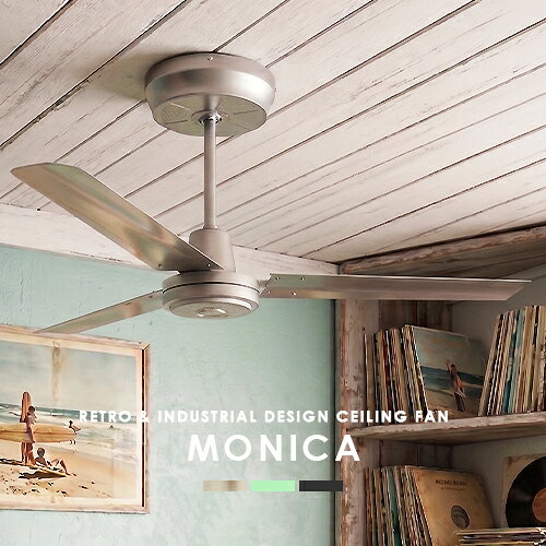 monica-m1-sv.jpg