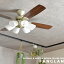 ֥󥰥ե 󥰥ե饤 LEDŵб ⥳   饤 ӥ  ˥  뤤 6 8 10 12 ʥ   ̲  ۡ Ź ceilingfan light [FANGLAN ե󥰥] ŷ ̵(2-2פ򸫤