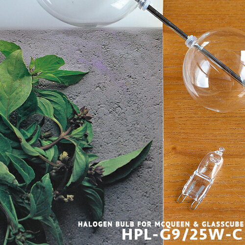MCQUEEN & GLASSCUBE マックイーンペンダ
