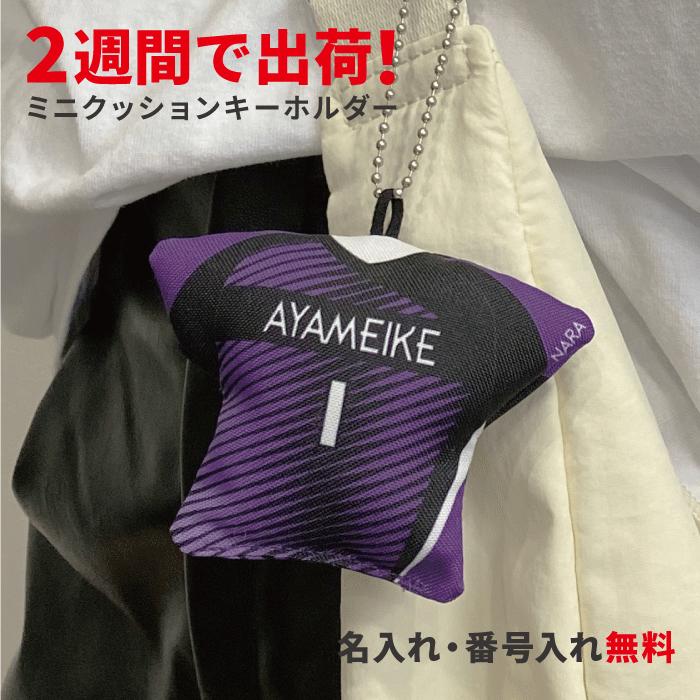 ユニフォーム型ミニクッションキーホルダー 名入れ無料 卒団記念品 卒業 卒部 引退 入部 入団 プレゼント 記念品 野球 サッカー バスケ バレー ラグビー スポーツ 部活 キーホルダー 名前入れ 番号入れ 送料無料