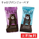 送料無料【選べる種類 個数 2個 4個】キャロブキッチン キャロブ バンジョーベアー ミルク ココナッツ 15g チョコレート