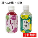 送料無料【さめうらフーズ 選べる種類 本数】しそごこち ゆずごこち 280ml しそジュース ゆずじゅーす 紫蘇 柚須 ペットボトル 国内産