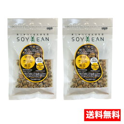 【送料無料 2袋】ソイビーン 茶菓子 大豆生活 佐賀大豆ばっかい soy美ean 味噌 きな粉 大豆 （68g） ソイビーン大豆 美容お菓子 美人を作る ダイエットサポート 大豆 お菓子 麗人豆本舗 宮本邦製菓 食物繊維 鉄分 カルシウム