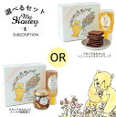 選べるギフト 【マイハニー】アカシアはちみつチューブ ショコラサンドリープ ナッツの蜂蜜漬け / 蜂蜜 ハニー 母の日ギフト 手土産 くま 限定 ギフトセット ...