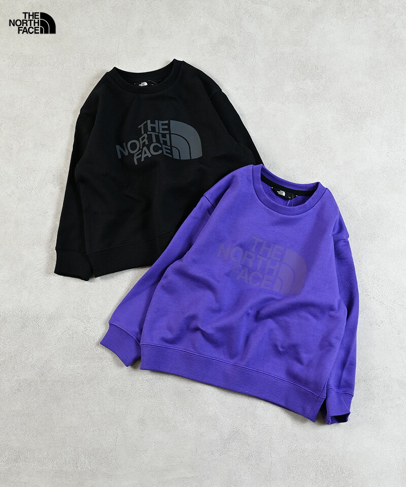 T Sweat Graphic Crew（100〜120cm） THE NORTH FACE ノースフェイス セレクト 子供服 キッズ ベビー 男の子 女の子 トップス 長袖 トレーナー 2025AWのサムネイル