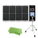 Roland OCTAPAD SPD-30 + PDS-20 セット デジタルパーカッション【配送区分F】