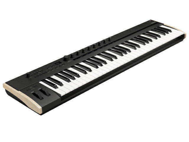 KORG コルグ KEYSTAGE-61　コントローラーキーボード 2